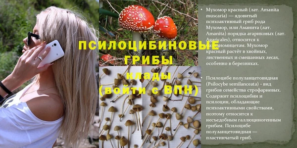 MDMA Premium VHQ Абаза