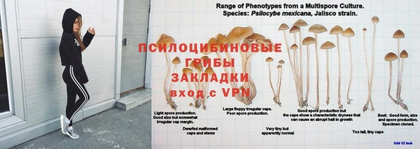 jwh Абинск