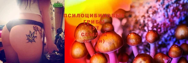 прущие крисы Покров