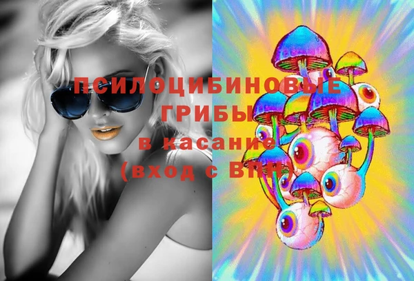 стаф Абдулино