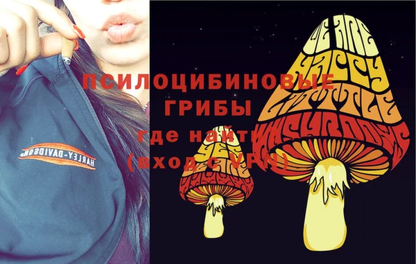 гашик Покровск