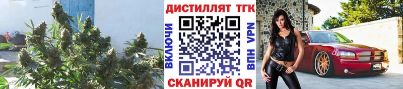 площадка Telegram  Балахна  ТГК жижа 